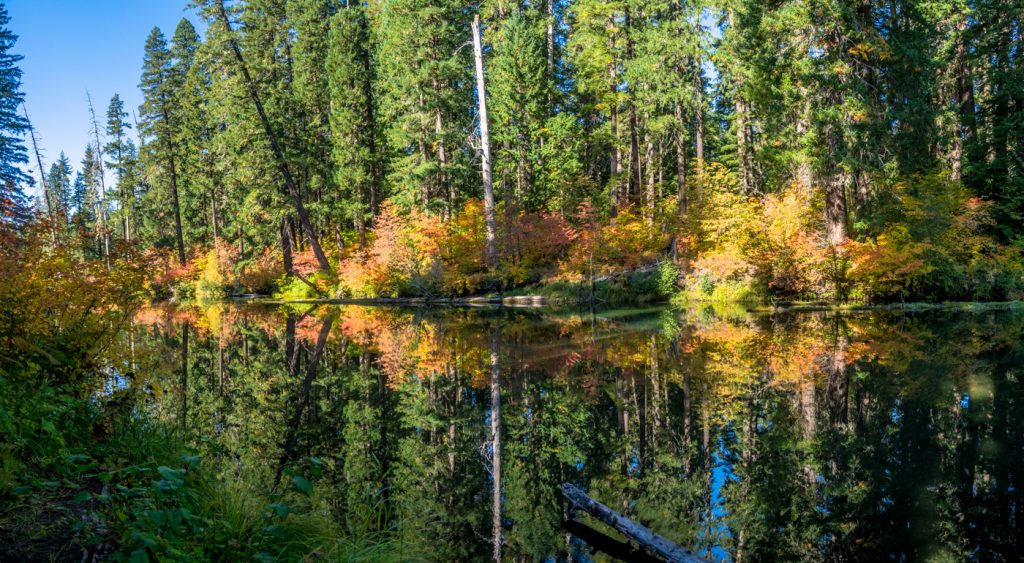 Upper Rogue Reflections - Randy Bryan